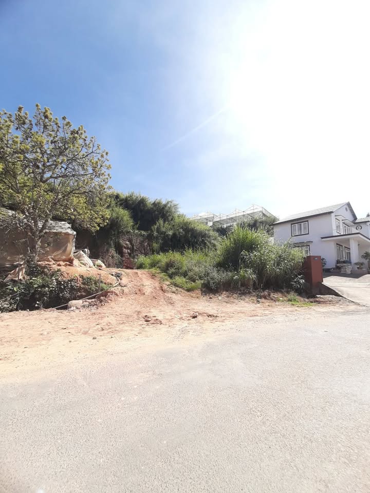 Đất biệt lập mặt tiền Tô Hiệu, Đà Lạt 376m² - Pháp lý sổ hồng riêng!