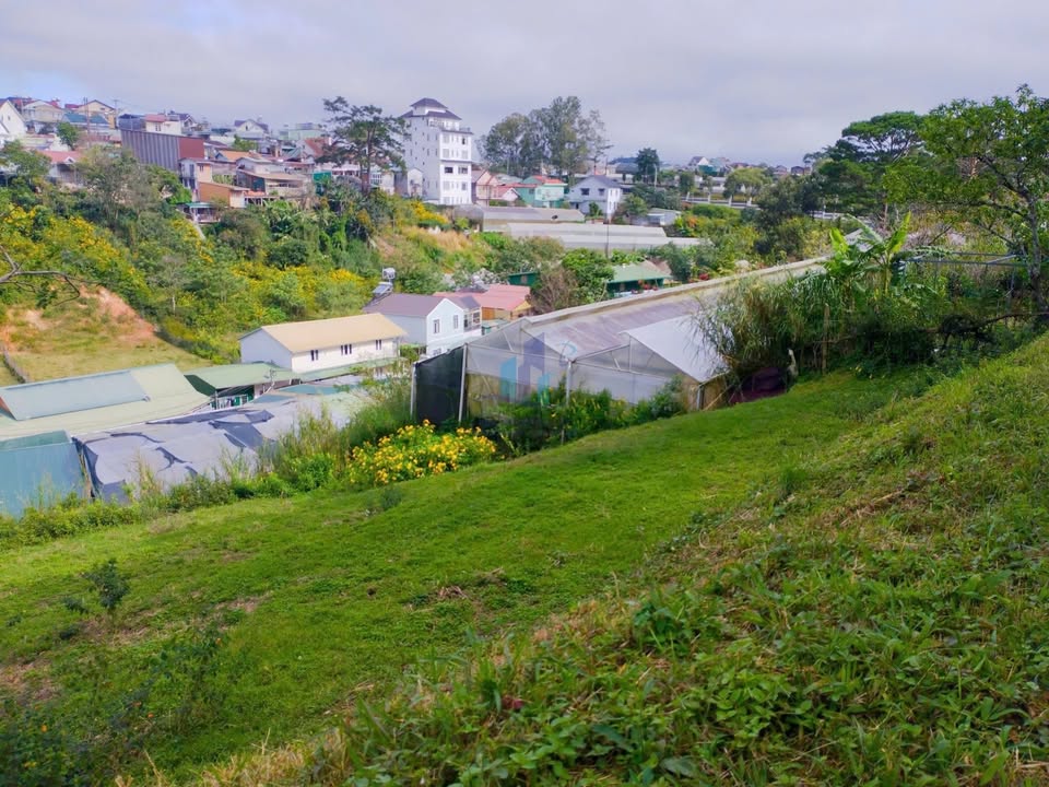 Đất nông nghiệp Hoàng Văn Thụ, Cam Ly 1141m² giá 6.85 tỷ - Cơ hội đầu tư hấp dẫn!