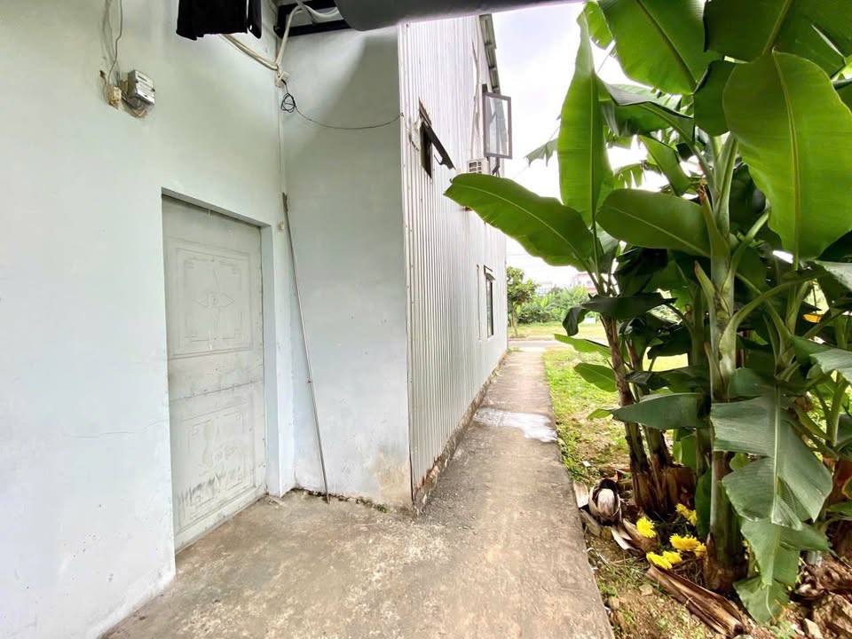 Phòng trọ cho thuê tại 81 Kiều Phụng, Hòa Xuân, 1.4 triệu - Phù hợp cho gia đình và sinh viên!