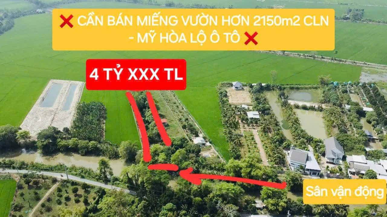 Đất vườn Mỹ Hòa 2150m² giá 4 tỷ - Chỉ 1km đến đường Phạm Cự Lượng!