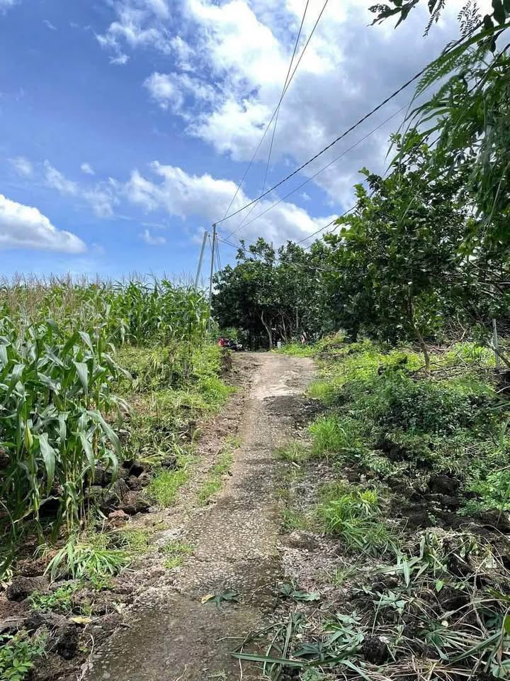 Đất thổ cư 200m² xã Phú Lập giá 2 tỷ - Đường ô tô vào tận nơi!