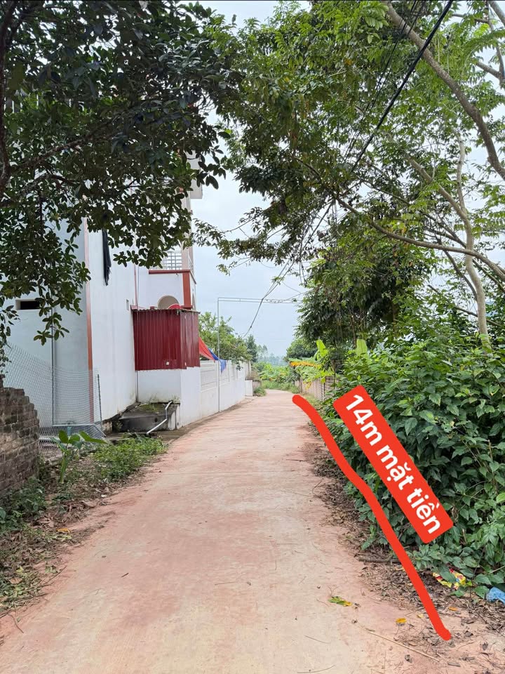 Đất Bảo Sơn Lục Nam 200m² giá chỉ 3xx triệu - Cơ hội đầu tư không thể bỏ lỡ!