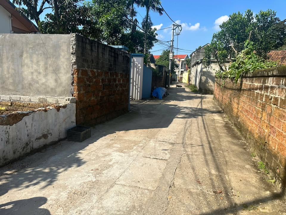 Đất nền đẹp Tùng Thiện, Sơn Tây 112m² giá 2 tỷ - Sổ đỏ chính chủ!