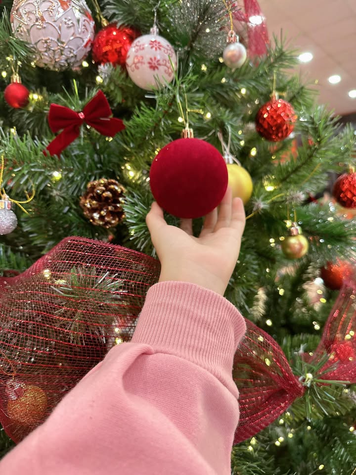 Đất thổ cư 200m² xã Phú Lập giá 2 tỷ - Cơ hội đầu tư hấp dẫn!