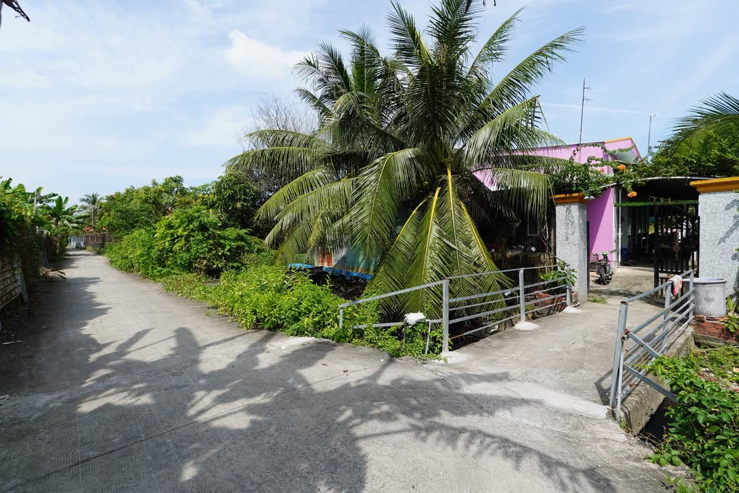 Bán đất thổ cư 550m² Phú Ân, Phước Lý, Cần Giuộc - Tiềm năng đầu tư cao!