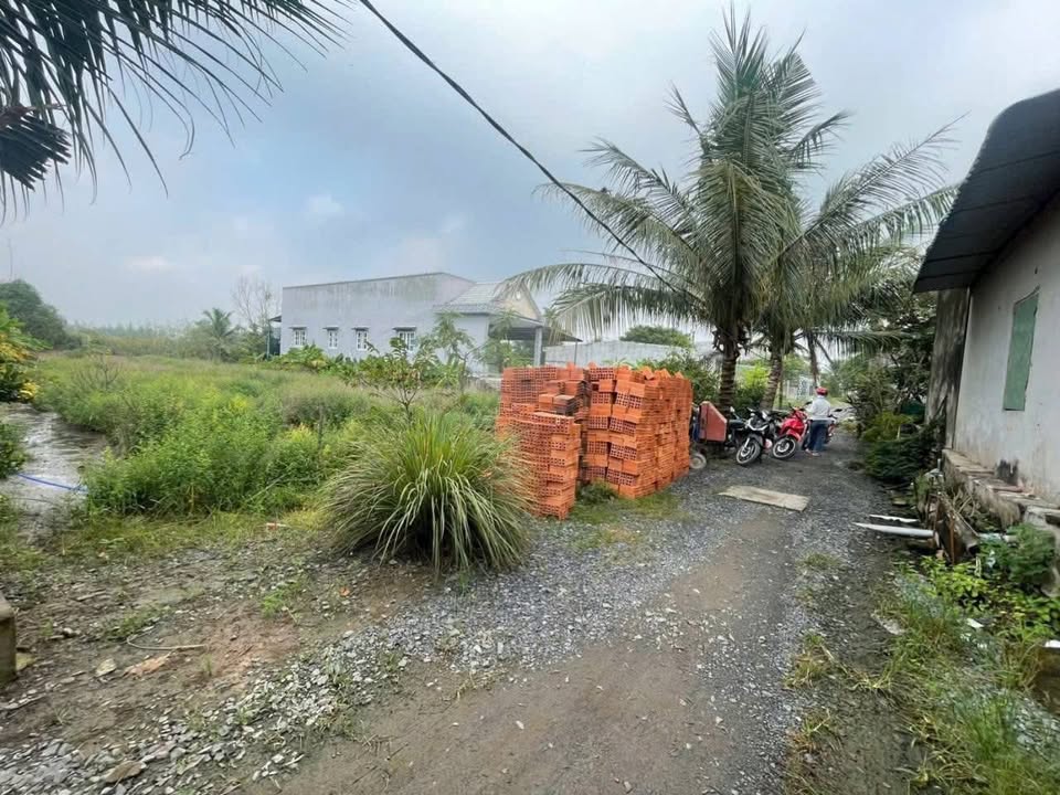 Đất thổ cư 1000m² tại xã Bình Đức, Bến Lức - Giá 3.35 tỷ, đầu tư sinh lời!