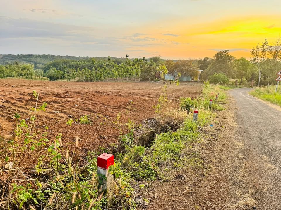 Đất nền Ấp 9, Thanh Hoà, 5000m² giá chỉ 1.1 tỷ - Cơ hội đầu tư tuyệt vời!