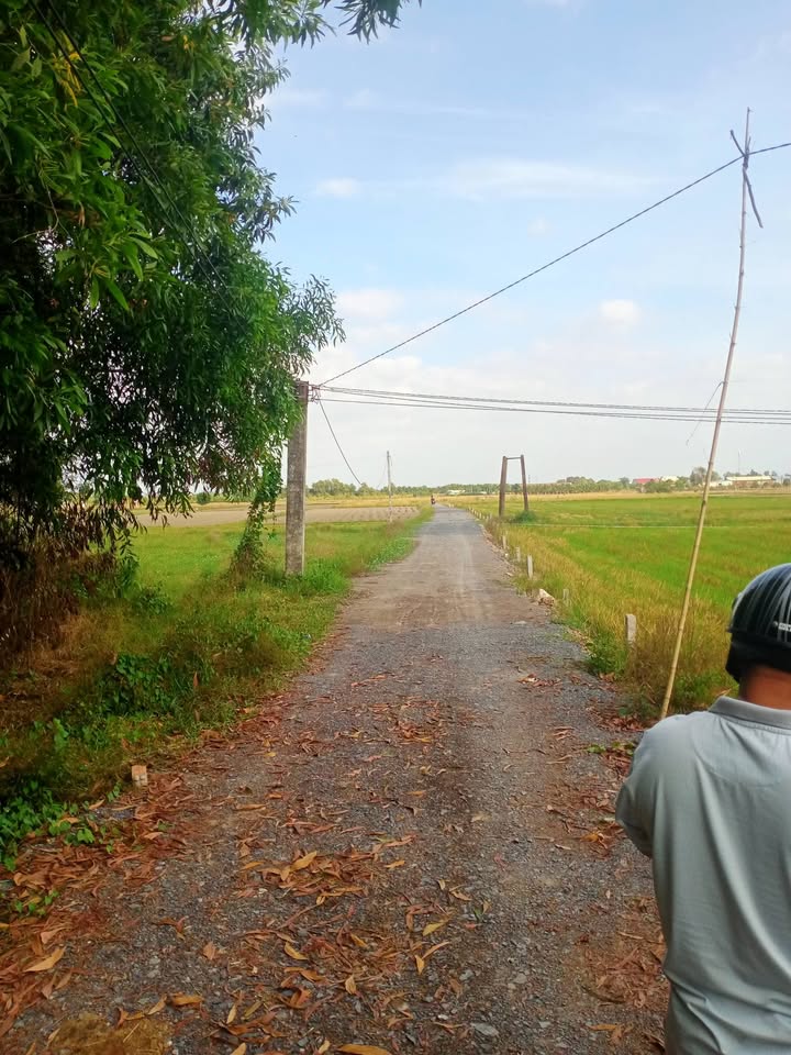 Đất thổ cư Ấp Tân Lập, Bến Cầu, Tây Ninh 250m² - Giá chỉ 265 triệu/lô!