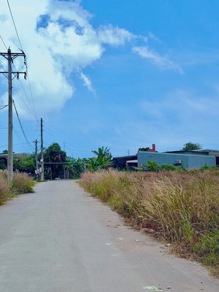 Đất nền Phú Sơn, Tân Phú, 1000m² giá 2.9 tỷ - Cơ hội đầu tư tuyệt vời!