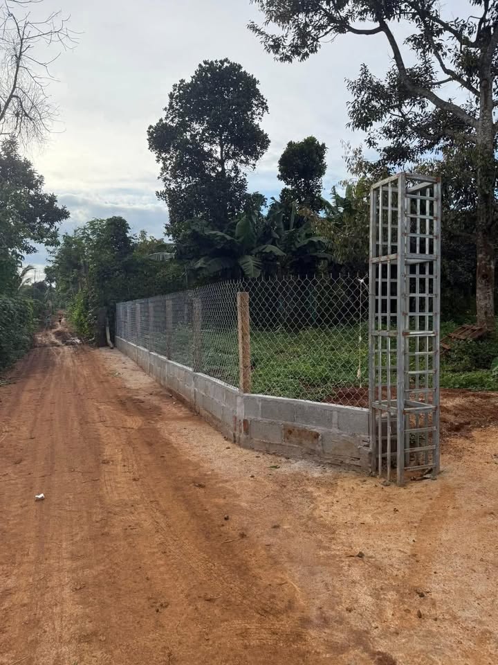 Đất xây dựng Pơng Drang, Krông Búk 500m² giá chỉ 1.35 tỷ - Cơ hội đầu tư sinh lời!