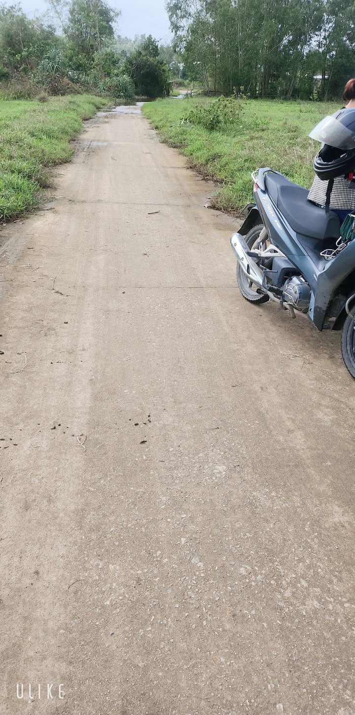 Đất trồng cây Tam Phú 250m² giá chỉ 1xx triệu - Đường bê tông ô tô vào tận nơi!