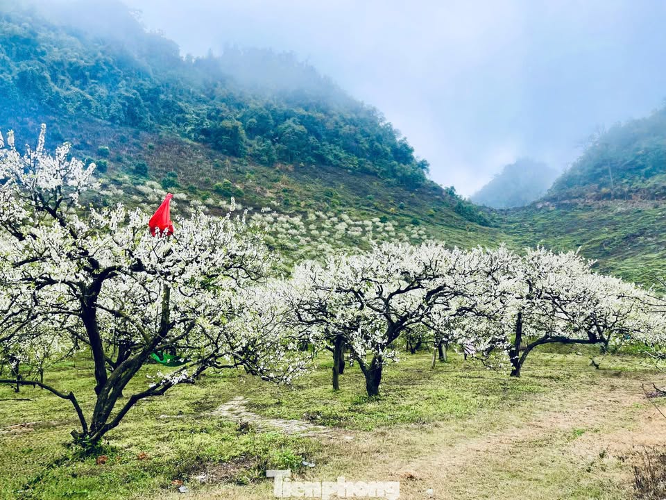 Đất thổ cư mặt tiền đường Tiền Tiến, phường Vân Sơn, 529m² - Pháp lý rõ ràng, giá chỉ 6xx triệu!