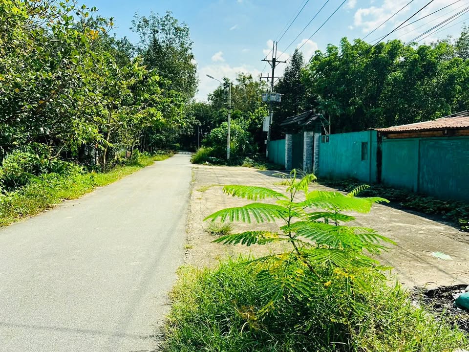 Đất nền An Nhơn Tây, Củ Chi 5000m² giá 5.9 tỷ - Đầu tư sinh lời ngay!