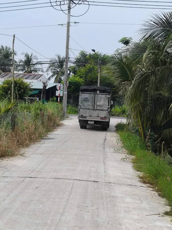 Đất nền 1500m² tại Phú Nghĩa, Châu Thành, Long An - Giá 650 triệu, sổ hồng riêng!