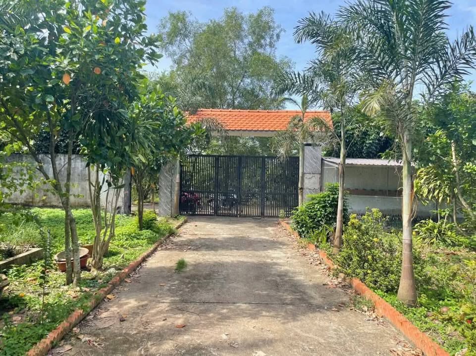 Bán nhà vườn Tân Phú Trung 5000m² giá 8.5 tỷ - Không gian sống lý tưởng!