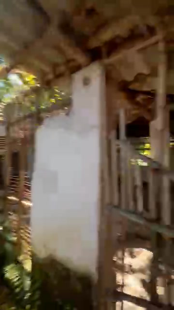 Đất nền Hướng Đạo, Tam Dương 521m² - Cơ hội vàng cho đầu tư!