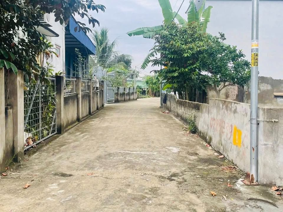 Đất nền An Dương, Hải Phòng 60m² giá 1.18 tỷ - Ô tô vào tận nơi!