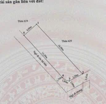 Đất lô góc ngõ 80 Vĩnh Cát, Hải Phòng 62m² - Vị trí siêu đẹp, dân cư đông đúc!