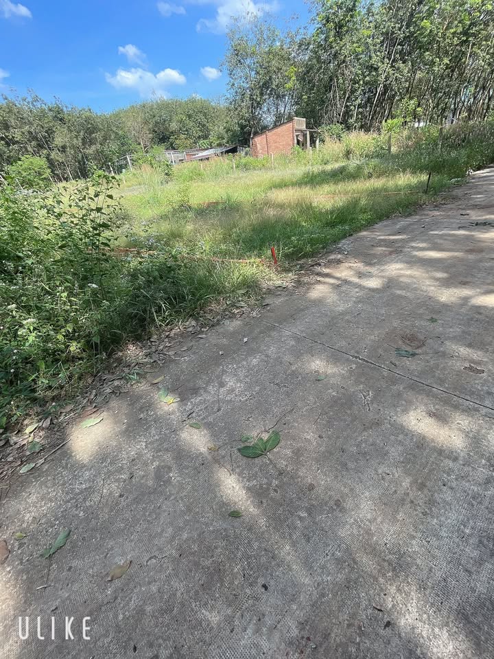 Đất nền Phú Giáo, Bình Dương 175m² giá 535 triệu - Vị trí thuận lợi, dân cư đông đúc!