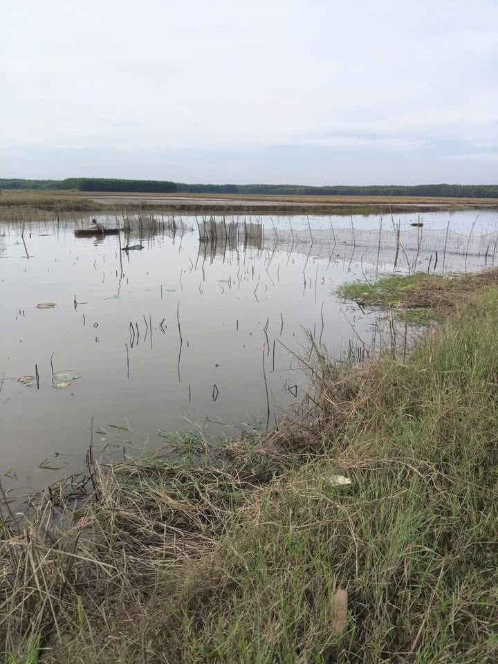 Đất farm Sùng Nhơn, Đức Linh 14,400m² giá chỉ 1.62 tỷ - Đầu tư sinh lời ngay!