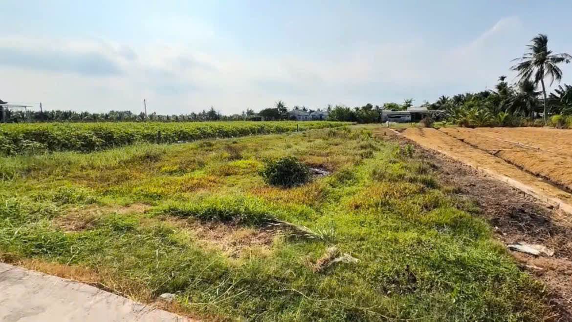 Đất nền 1000m² xã Vĩnh Công, Tây Ninh giá 740 triệu - Sổ hồng chính chủ!