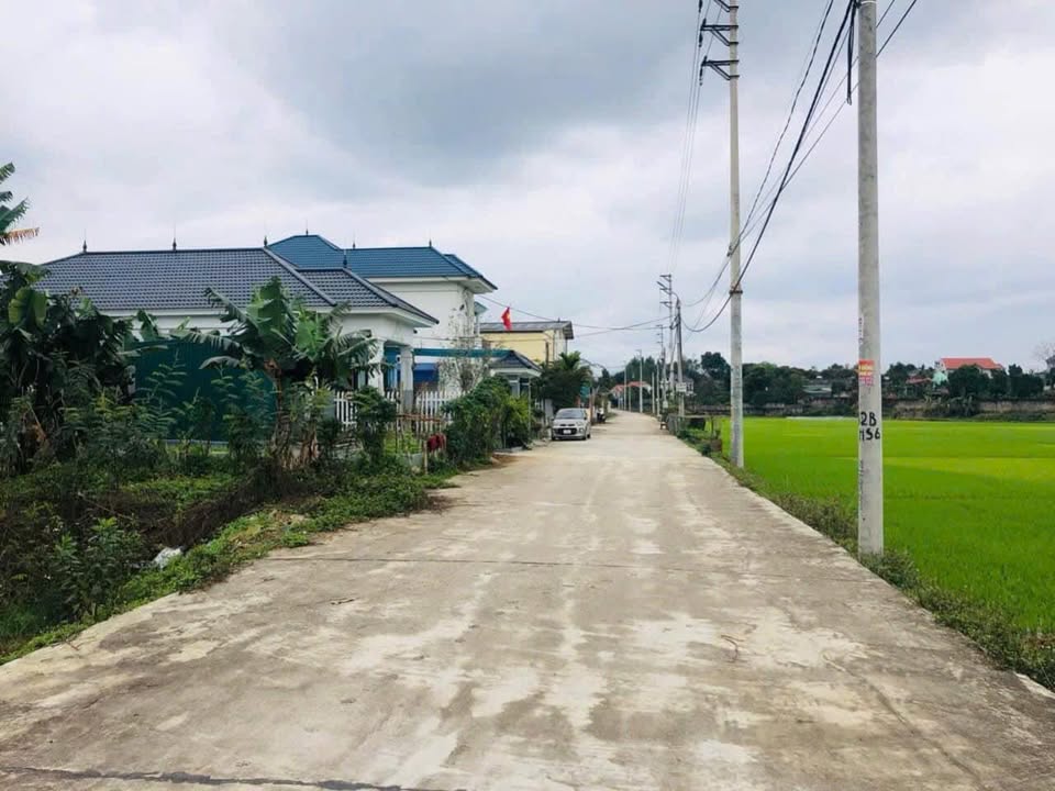 Đất nền Tề Lễ, Tam Nông, Phú Thọ 322m² giá thỏa thuận - Cơ hội đầu tư hấp dẫn!