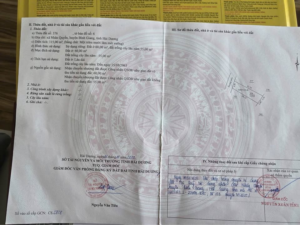 Đất thổ cư thôn Hòa Loan, Nhân Quyền 115m² giá 1.6 tỷ - Vị trí đắc địa gần tỉnh lộ 392!