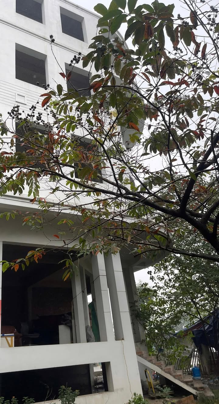 Biệt thự cho thuê tại An Khánh – 100m² giá 60 triệu/tháng - Sẵn sàng hoàn thiện theo yêu cầu!