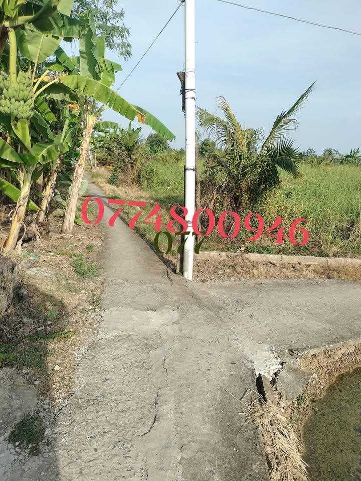 Đất mặt tiền Tân Đông Gò Công Đông 926m² giá 550 triệu - Cơ hội vàng cho nhà đầu tư!