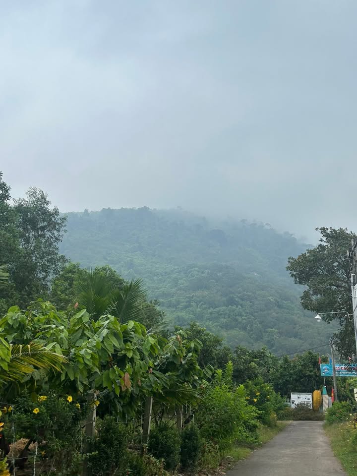 Đất nền Xuân Thọ 175m² giá chỉ 450 triệu - Cơ hội đầu tư hấp dẫn!