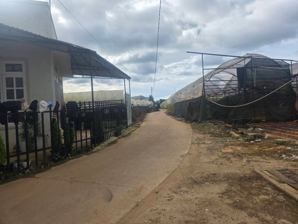 Đất nền hẻm đường Hồ Xuân Hương, Đà Lạt 80m² chỉ từ 700 triệu - Đầu tư sinh lời ngay!