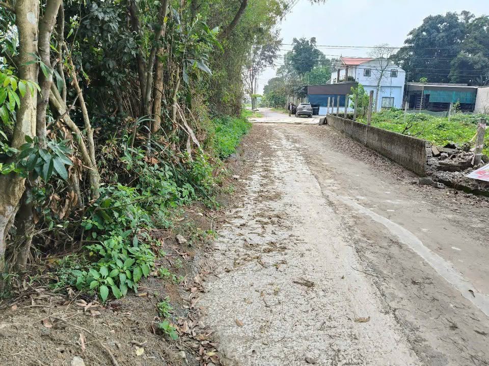 Đất thổ cư Nghi Phong 460m² giá 5.7 tỷ - Tiềm năng phát triển cao!