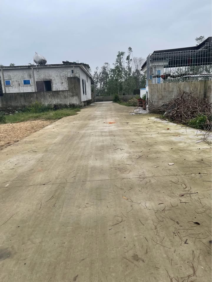 Đất thổ cư Nghi Hòa 204m² giá 2 tỷ - Đường ô tô tránh nhau, hướng Đông mát mẻ!