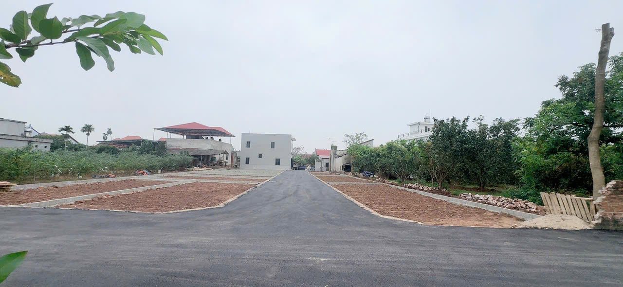 Đất nền xã Triệu Việt Vương, Hưng Yên 50m² giá 1 tỷ - Cơ hội đầu tư tốt!