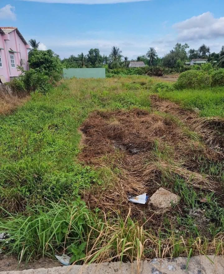 Đất thổ cư 300m² tại xã Vàm Cỏ, Tân Trụ 952m² giá 1.3 tỷ - Đầu tư lý tưởng!