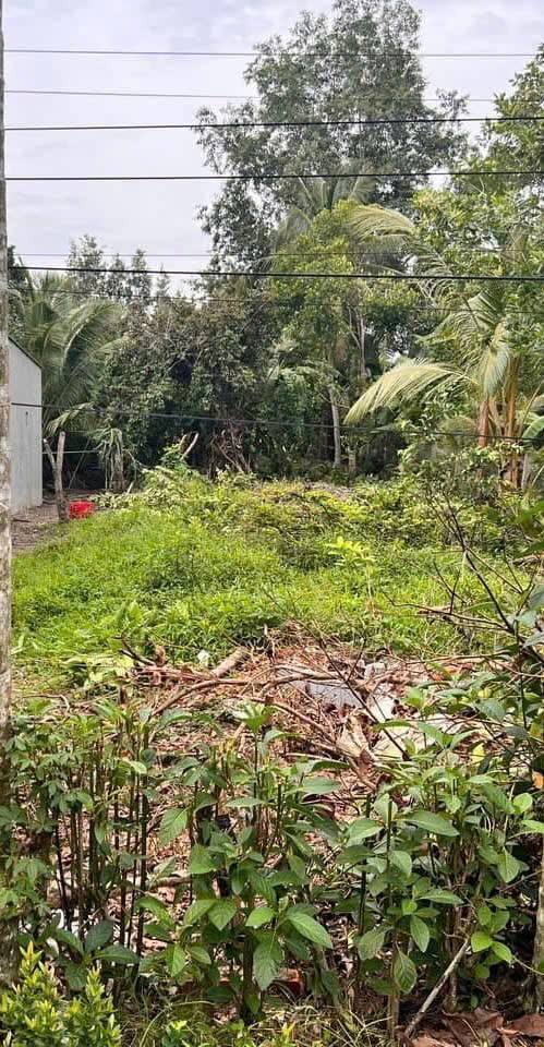 Đất nền Long Hưng Cần Thơ 80m² giá 255 triệu - Đầu tư sinh lời ngay!