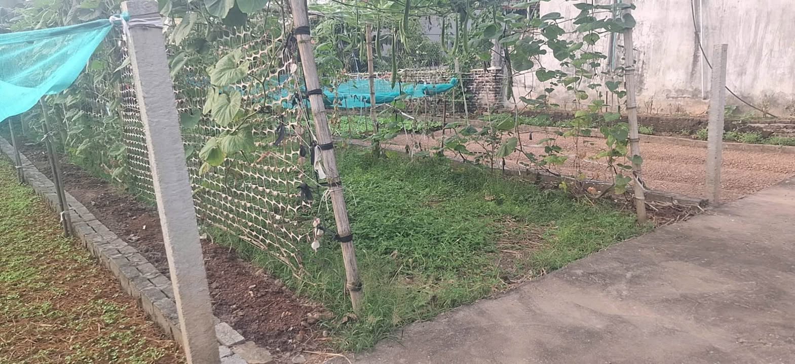 Đất thổ cư Đình Cao, Phù Cừ, Hưng Yên 85m² giá 1.3 tỷ - Đầu tư sinh lời ngay!