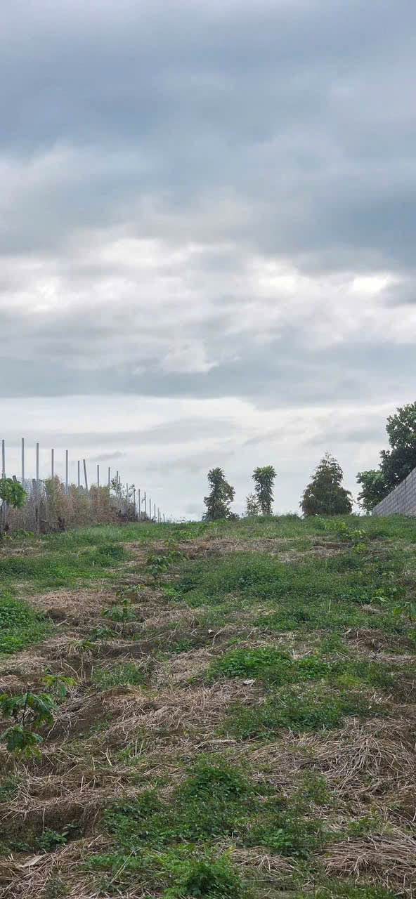 Đất nền Lộc Phát Bảo Lộc 1184m² giá 3.3 tỷ - Cơ hội đầu tư hiếm có!