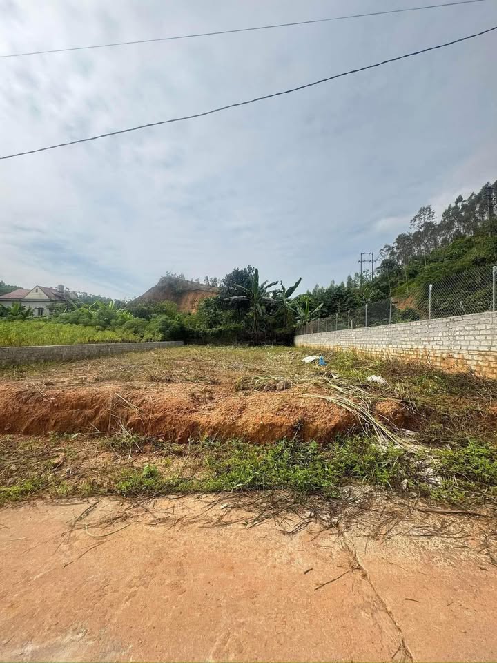 Lô đất Yên Bình 282m² giá 1.1 tỷ - Tiềm năng tăng giá cực tốt!