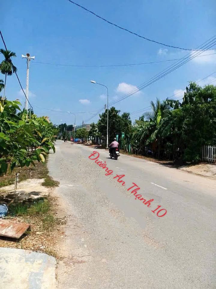 Đất vườn 249m² An Thạnh, Thuận An giá 3 tỷ - Đầu tư sinh lời ngay!