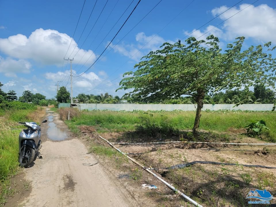 Đất mặt tiền kênh Vành Đai 2.000m² giá 1.8 tỷ - Cơ hội đầu tư hấp dẫn!