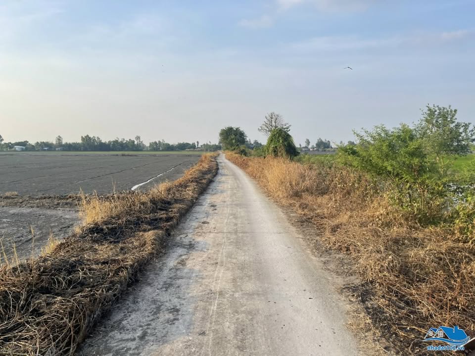 Bán đất mặt tiền kênh 17, xã Mong Thọ B, 4.400m² giá chỉ 230 triệu - Đầu tư sinh lời ngay!