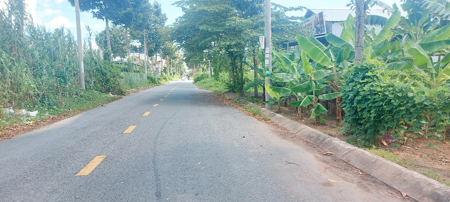 Đất nền Khu Sao Mai Lấp Vò 100m² giá 1.15 tỷ - Cơ hội đầu tư lý tưởng!