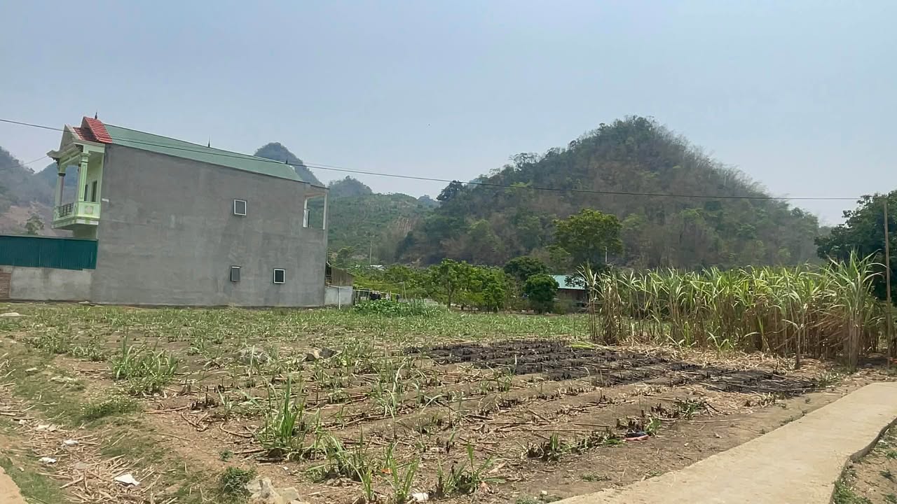 Đất nền Chiềng Ngần, Sơn La 2000m² giá 900 triệu - Đầu tư sinh lời hấp dẫn!