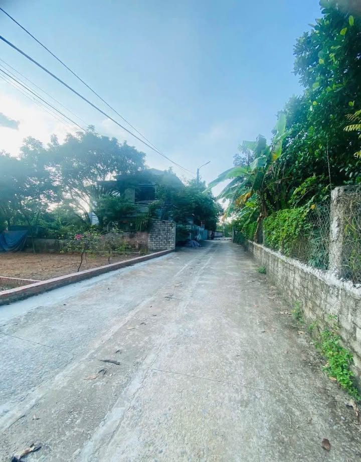 Đất nền phường Tùng Thiện, Sơn Tây, Hà Nội 122,5m² giá 1,8 tỷ - Tiềm năng đầu tư sinh lời!