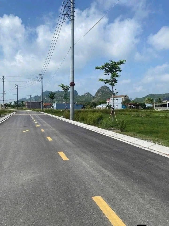 Đất nền phân lô Thạch Bình - Nho Quan - Ninh Bình 132m² chỉ 1.1 tỷ - Giá đầu tư hấp dẫn!