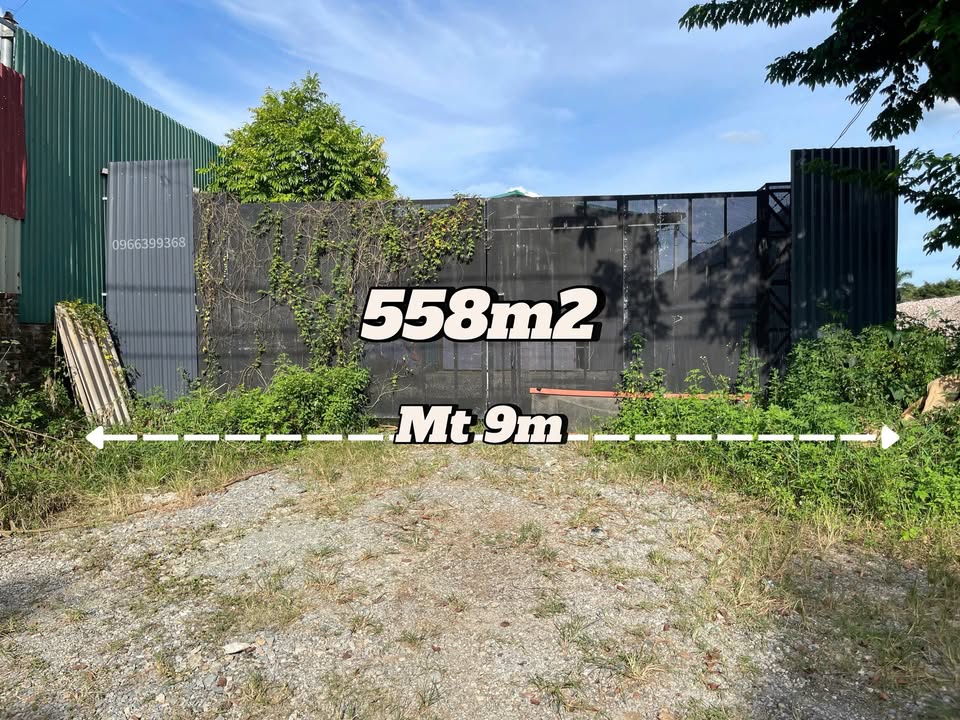 Xưởng 558m² tại Kiều Phú, Quốc Oai chỉ 3 tỷ - Đầu tư sinh lời ngay!