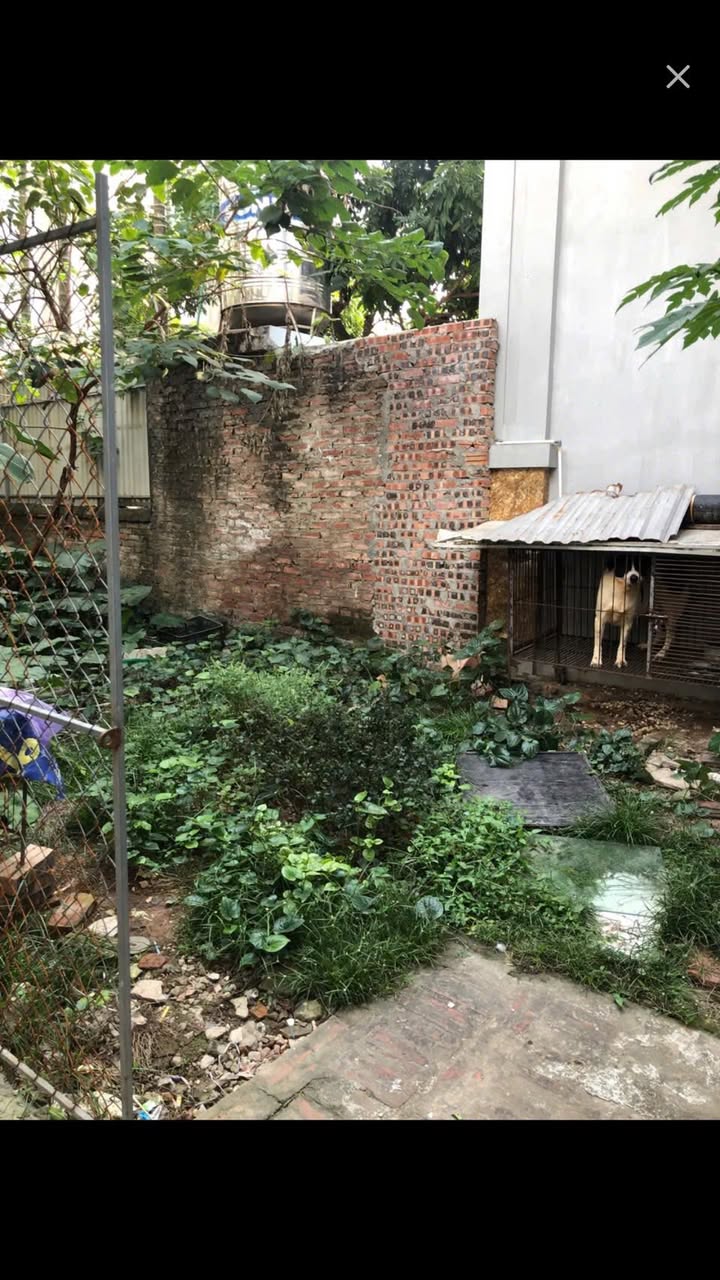 Đất nền KĐT Dương Nội 49m² giá 60 tỷ - Đầu tư sinh lời hấp dẫn!