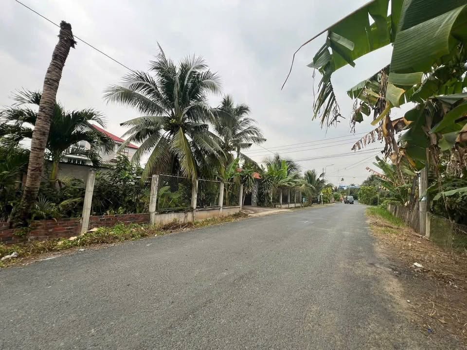 Đất mặt tiền HL01, Phú Tân, Bến Tre 420m² giá 1.8 tỷ - Cơ hội đầu tư tuyệt vời!