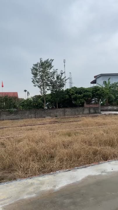 Đất nền Thanh Hồng - Thanh Hà 100m² giá chỉ 500 triệu - Đầu tư sinh lời ngay hôm nay!